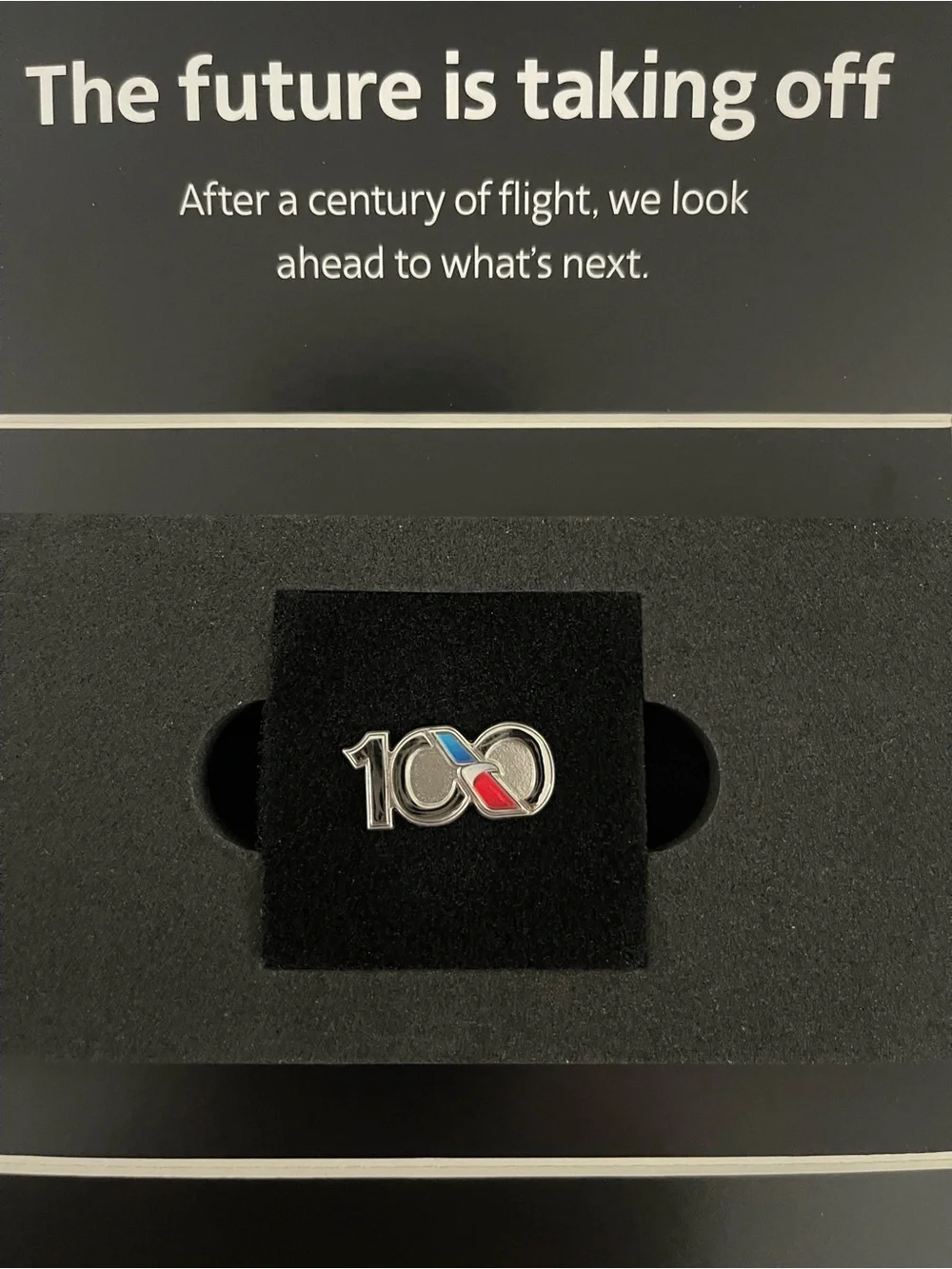 American Airlines 100 Year pin- Black, Red, Blue